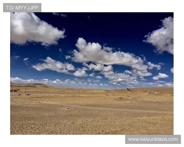 开云官网中文站常见问题解答，解决你的购物疑问与使用困扰